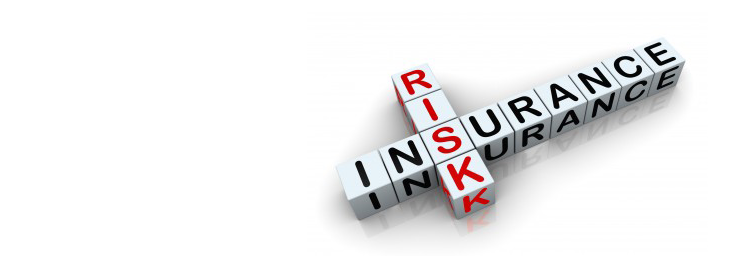 Insurance risk original